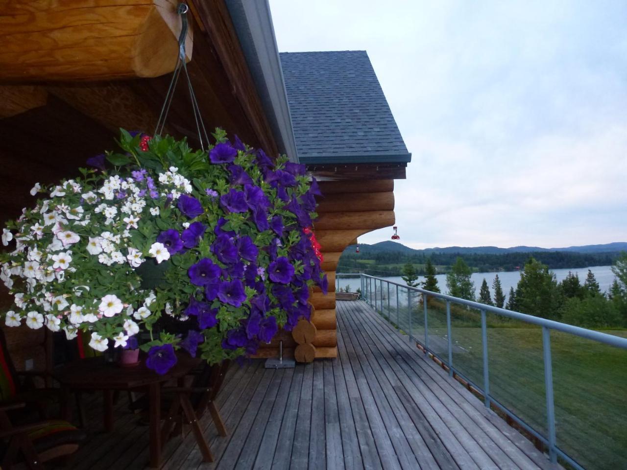 Little Black Bear Lodge/B&B Bridge Lake Exterior photo
