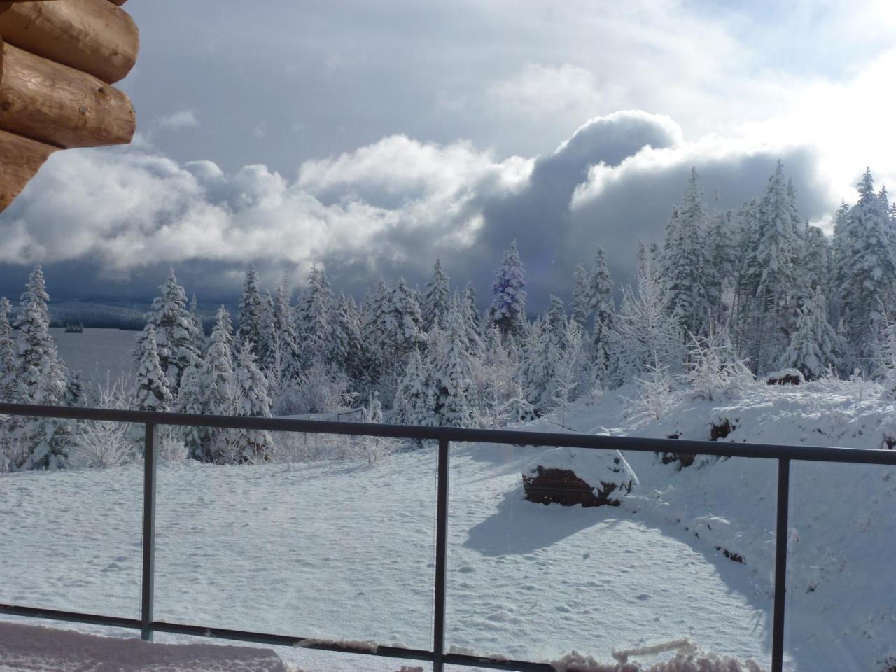 Little Black Bear Lodge/B&B Bridge Lake Exterior photo