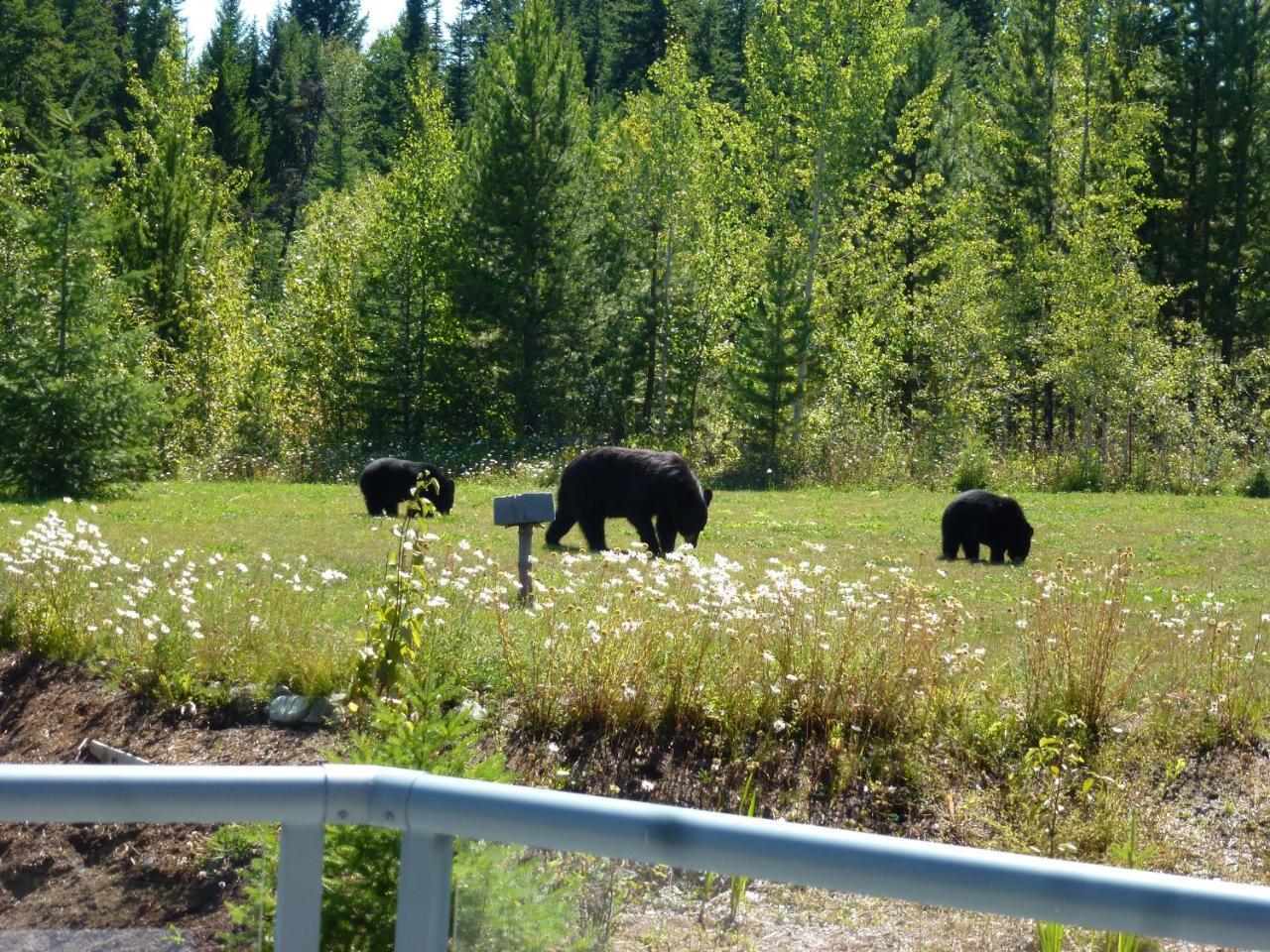 Little Black Bear Lodge/B&B Bridge Lake Exterior photo