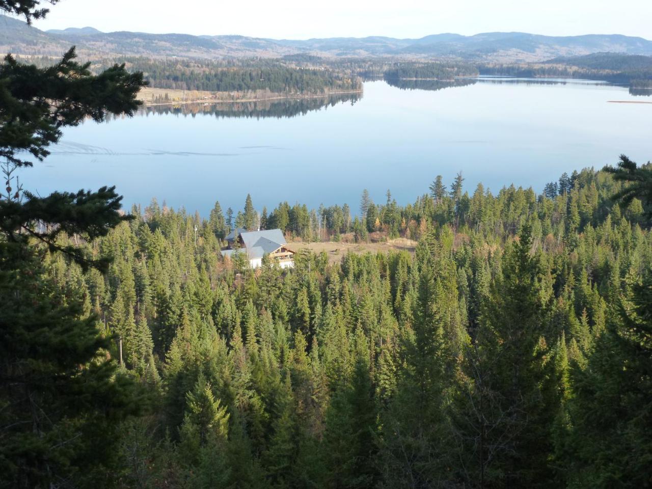 Little Black Bear Lodge/B&B Bridge Lake Exterior photo